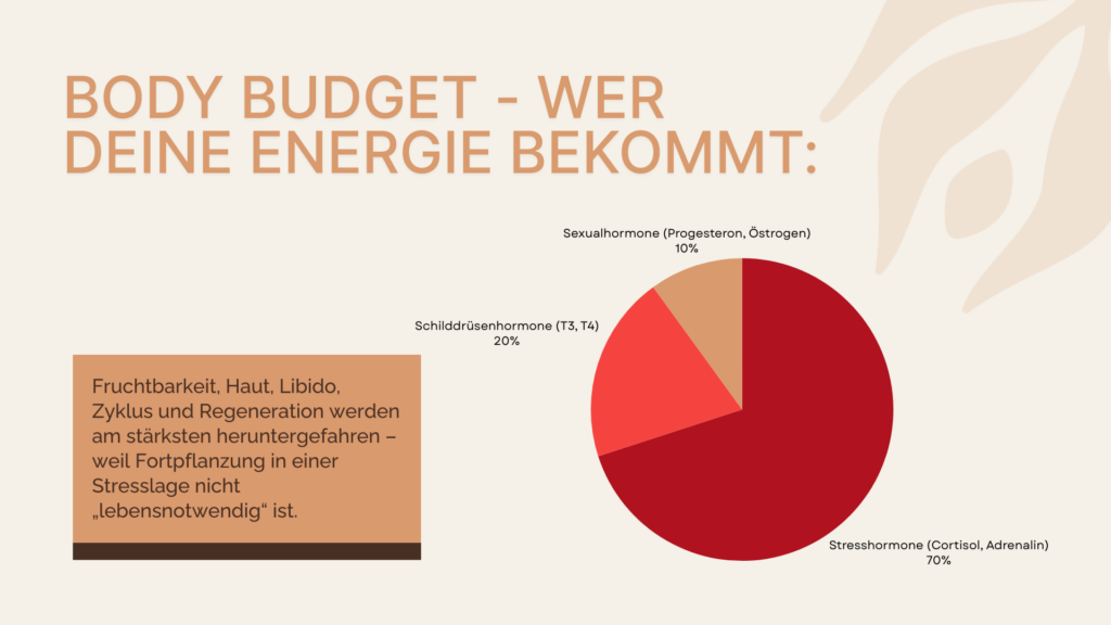 Energie im Hormonsystem