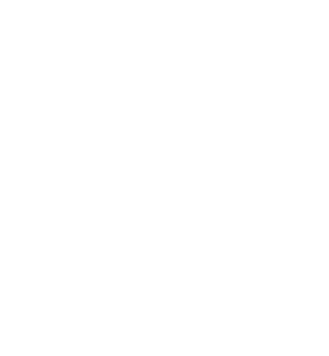 icon-outline-weiss 1 (1)