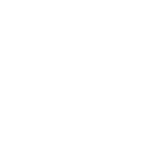 icon-outline-weiss 1 (1)
